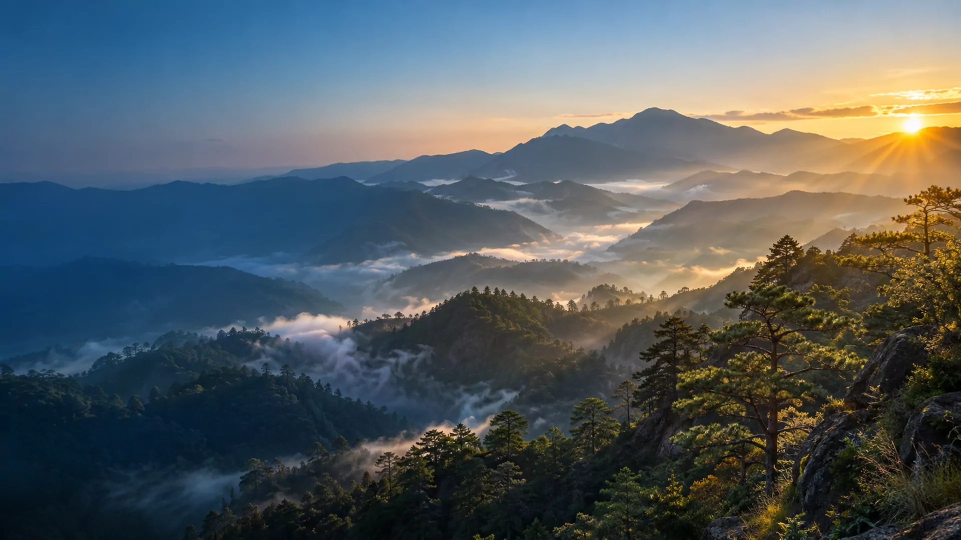 Illustrative: sunrise over misty pine-covered mountains